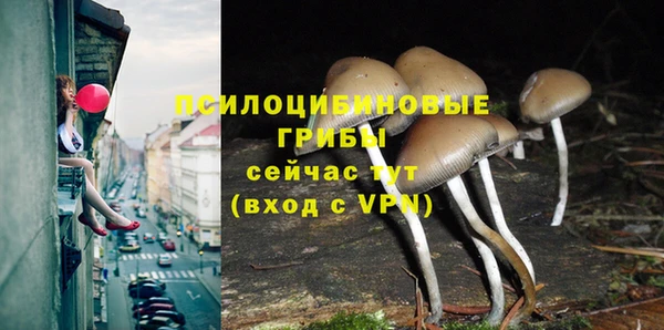 кокаин Медвежьегорск